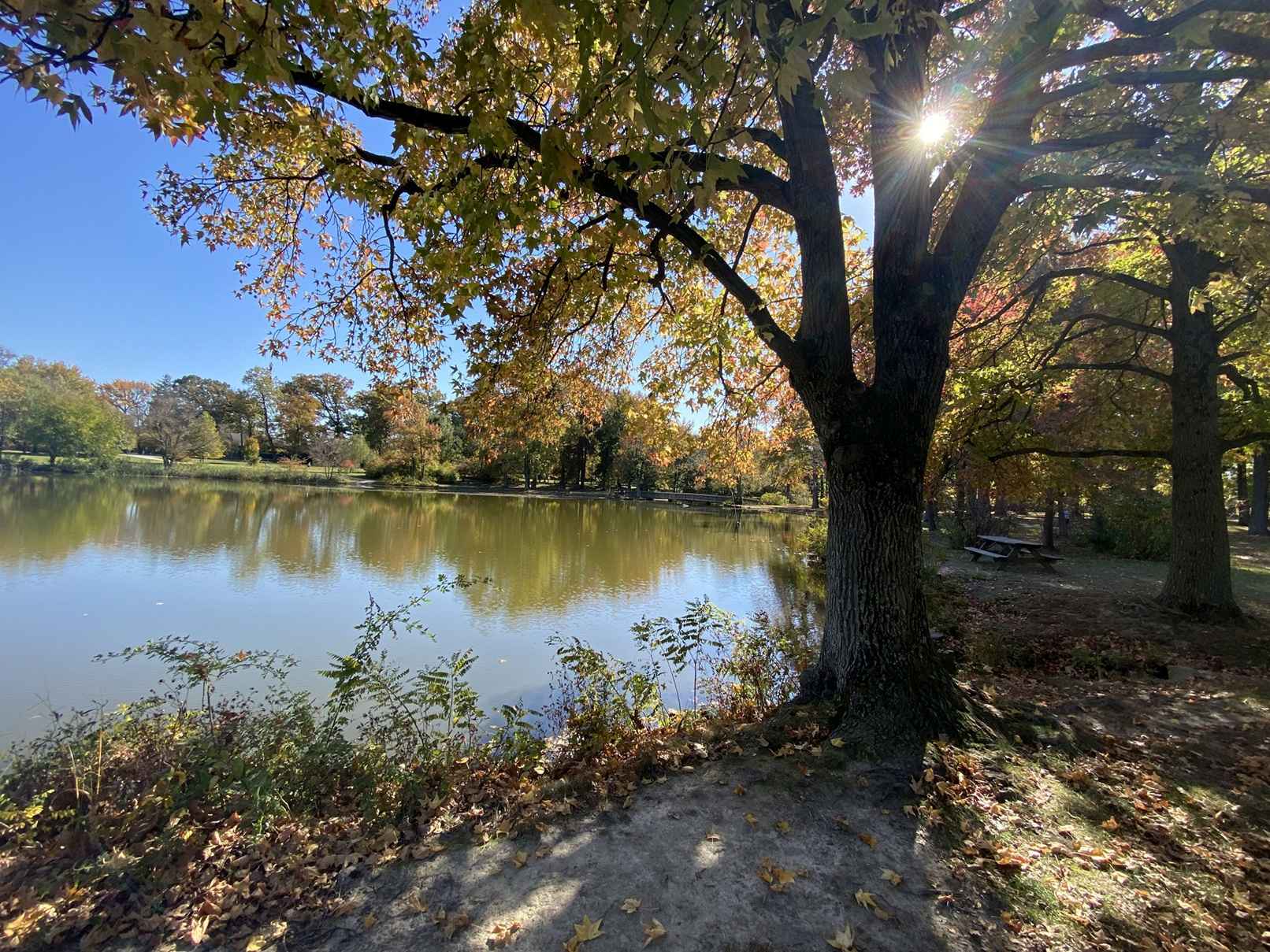 Duane-Loveland_Brecks-Mil-on-Brandywine